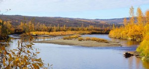 Поворот реки - перспективное место для поиска золота